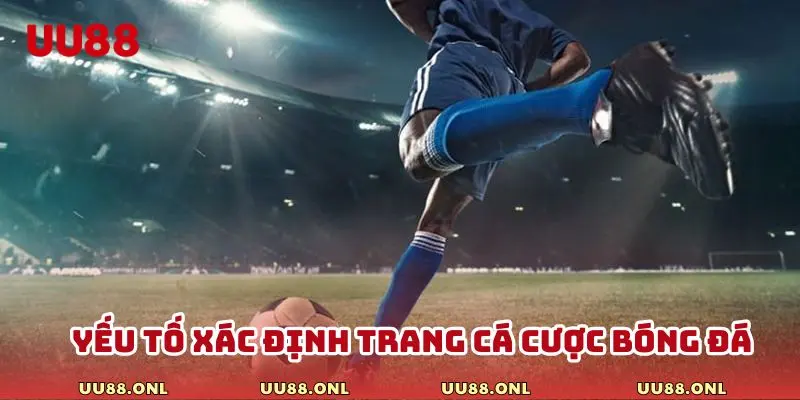 Những yếu tố quan trọng dùng để xác định trang cá cược uy tín