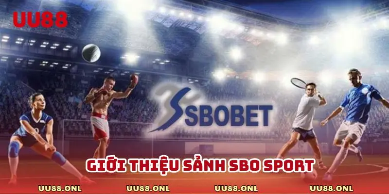 Thông tin cơ bản về nền tảng trực tuyến SBO Sport